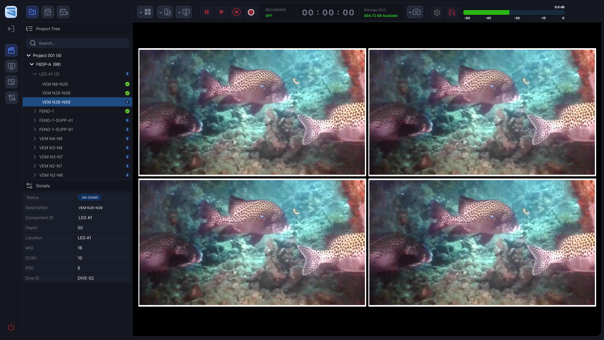 Deepstrim Capture 01